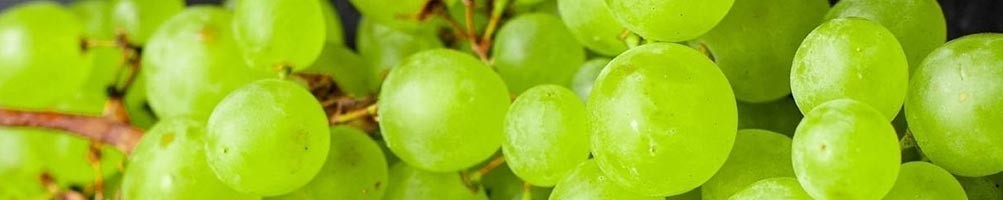 Vins Blancs | Domaine Les Baies Sauvages